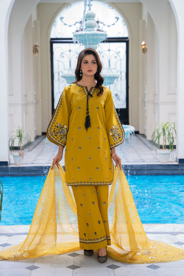 Limited Stock - Flora 3Pc Embroidered Dress