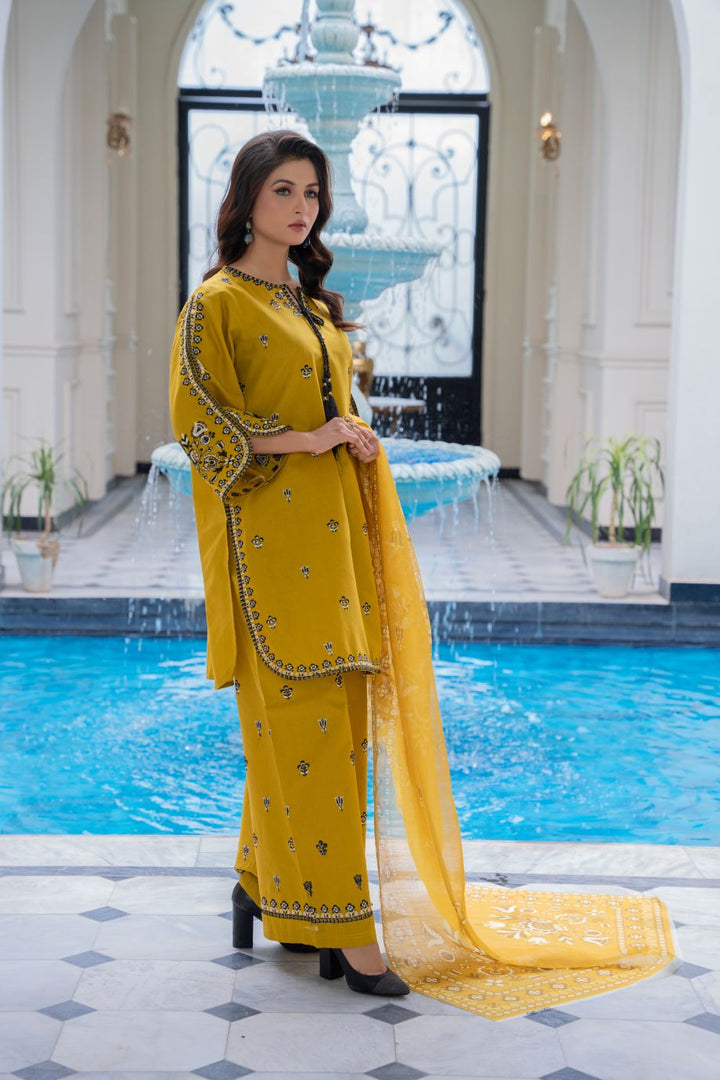 Limited Stock - Flora 3Pc Embroidered Dress