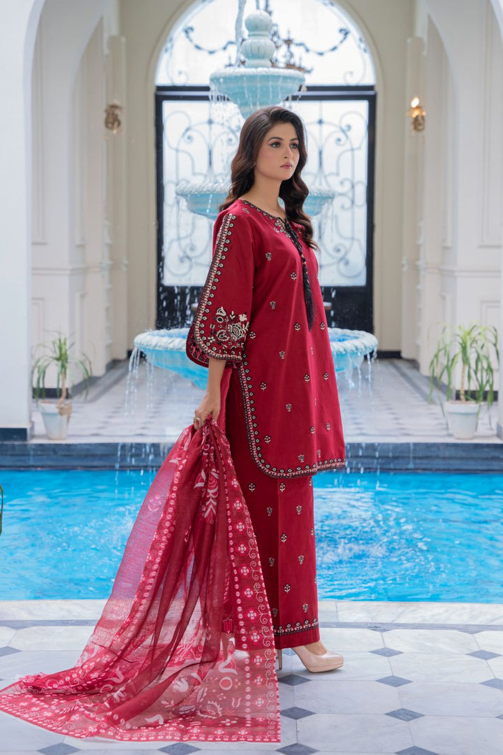 Limited Stock - Sasha 3Pc Embroidered Dress