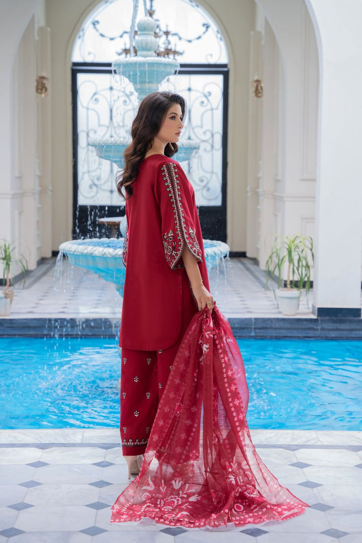 Limited Stock - Sasha 3Pc Embroidered Dress