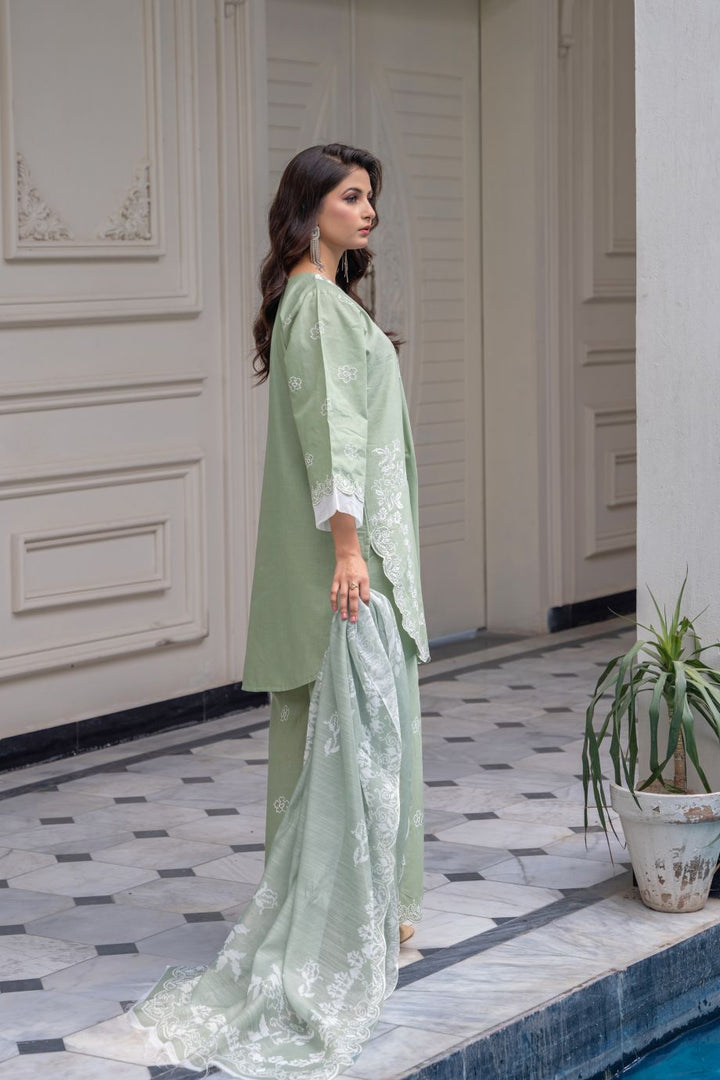 Limited Stock -Zooni 3Pc Embroidered Dress