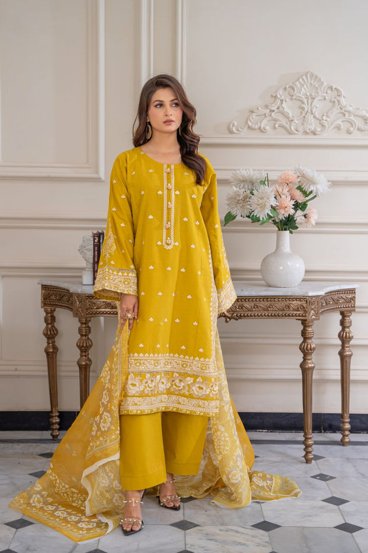 Limited Stock - Kaavish 3Pc Embroidered Dress