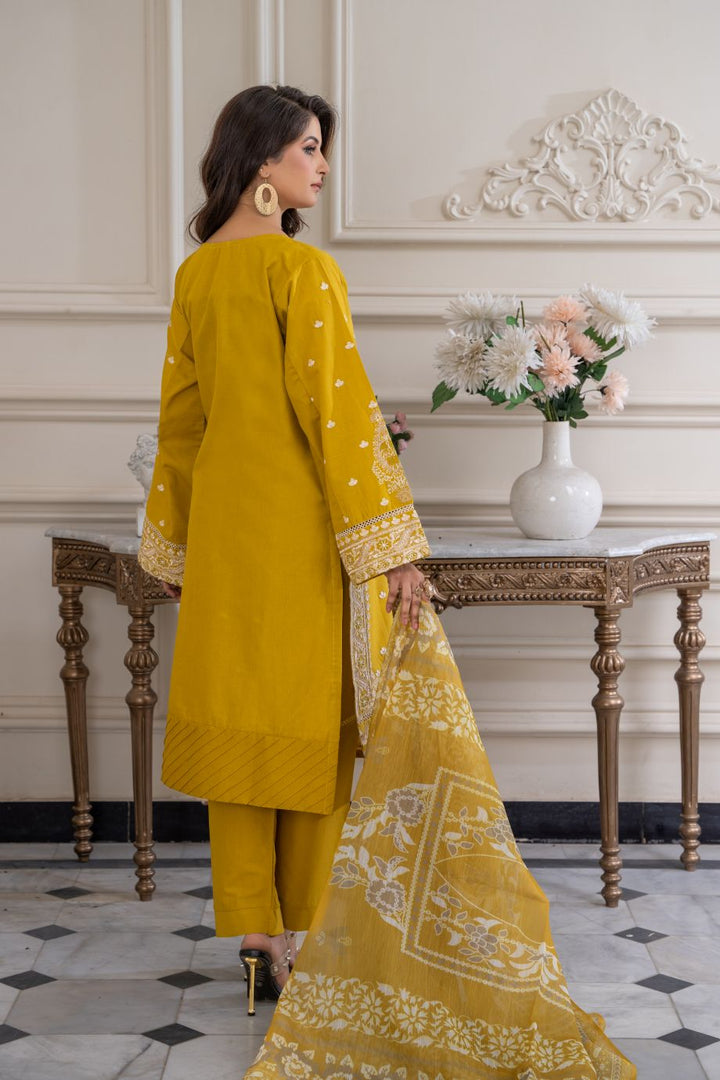 Limited Stock - Kaavish 3Pc Embroidered Dress