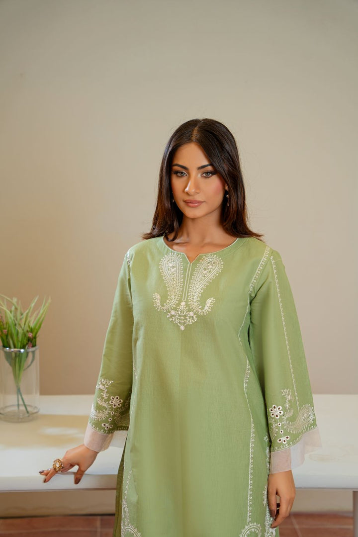 Zylphia 2Pc - Embroidered Casual Pret