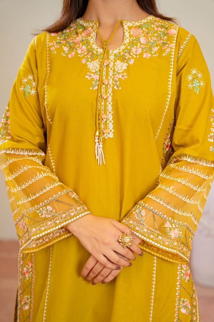 Audrey 2Pc - Embroidered Casual Pret