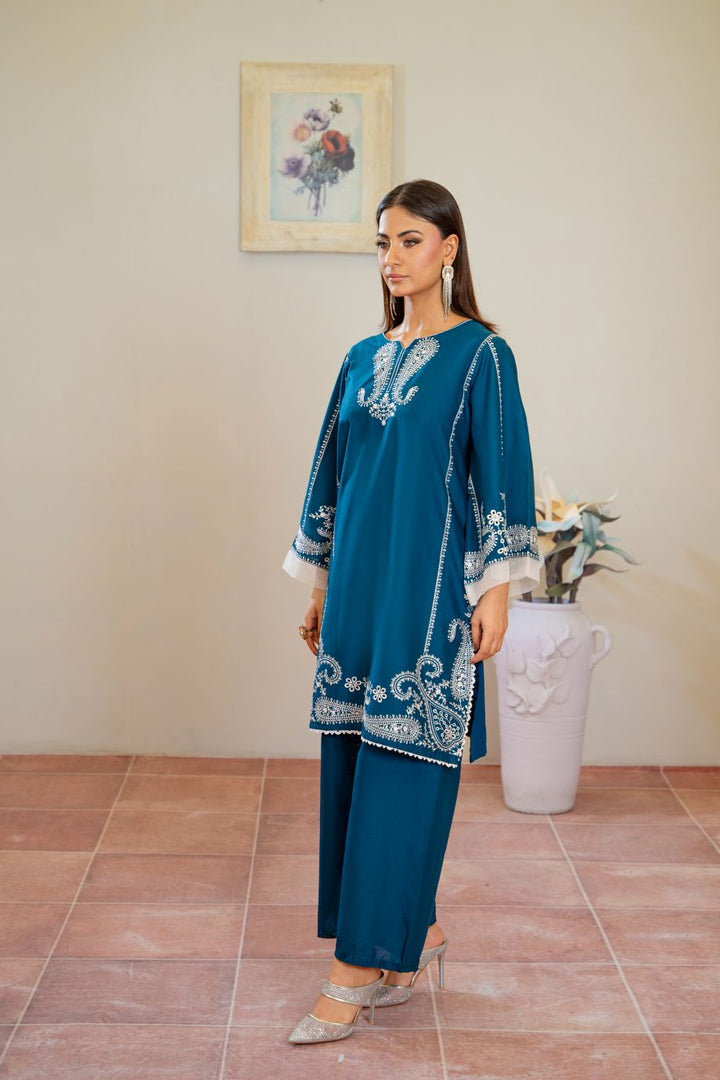 Buji Flies 2Pc - Embroidered Casual Pret